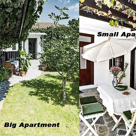 Apartments Villa Elisabeth Ohrid Eksteriør billede