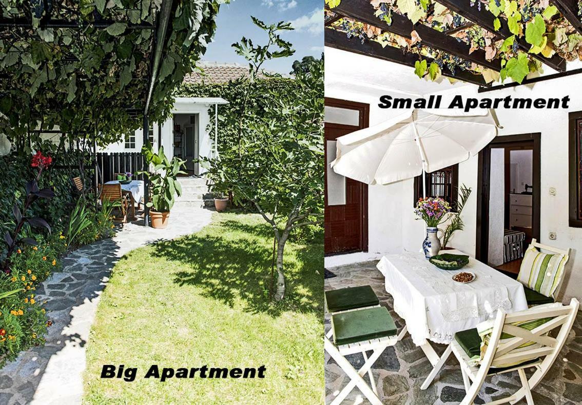 Apartments Villa Elisabeth Ohrid Eksteriør billede